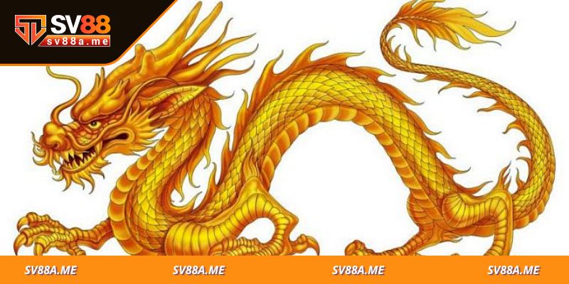 Hướng dẫn các kỹ năng tham gia chơi rồng hổ SV88 hiệu quả